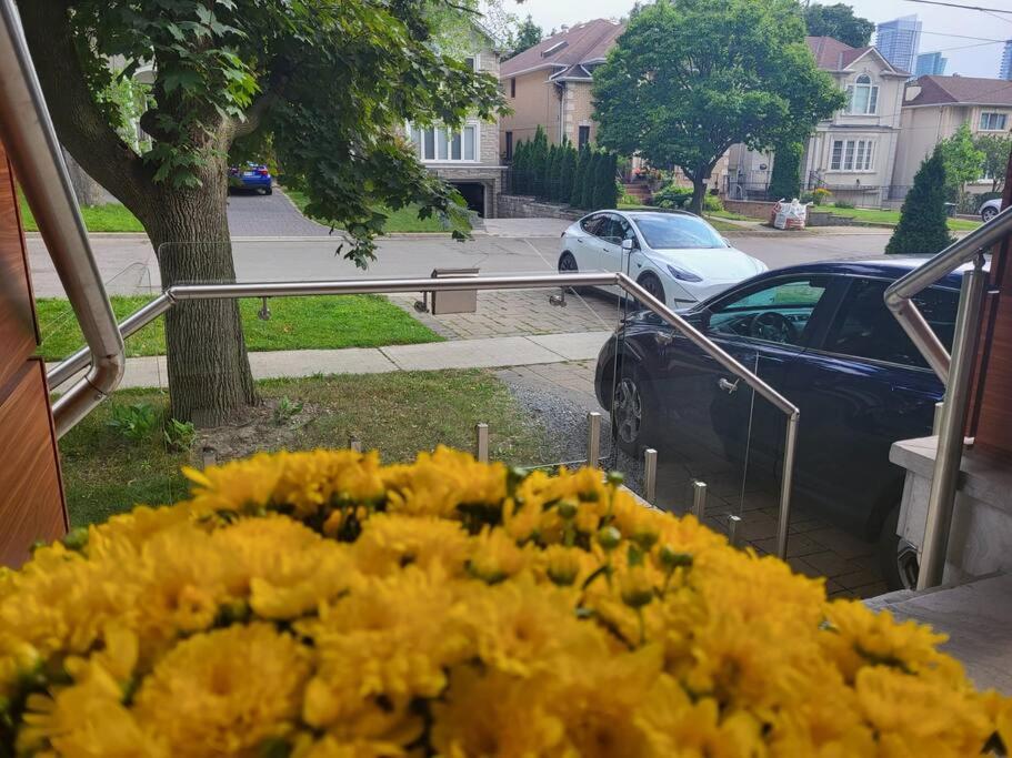 Toronto Modern Houseアパートメント エクステリア 写真